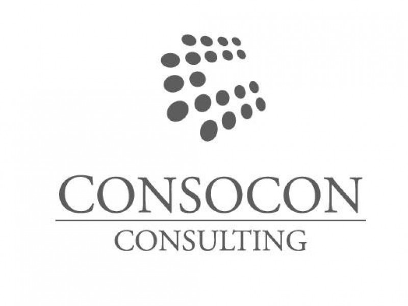 Logo - ConSoCon Consulting GmbH